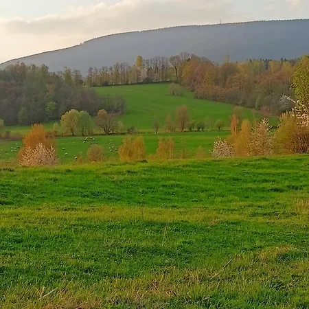 Kotelna *