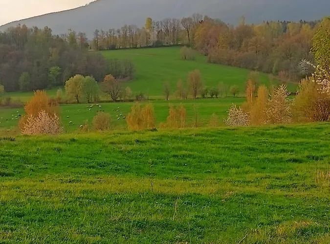Kotelna *